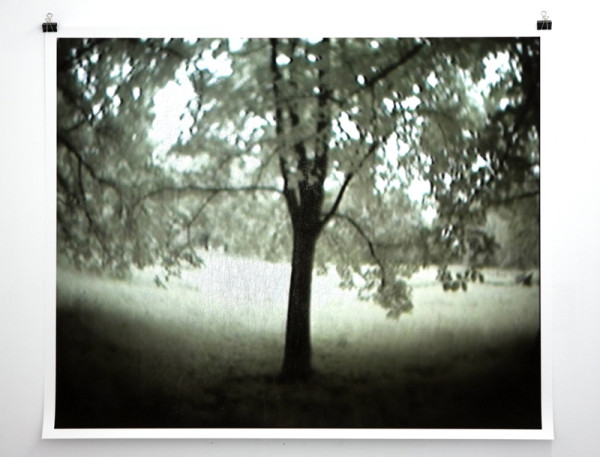 Rune Peitersen, Observer Effect: A Tree in the Forest, 2011